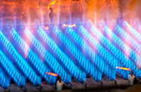Brayford gas fired boilers